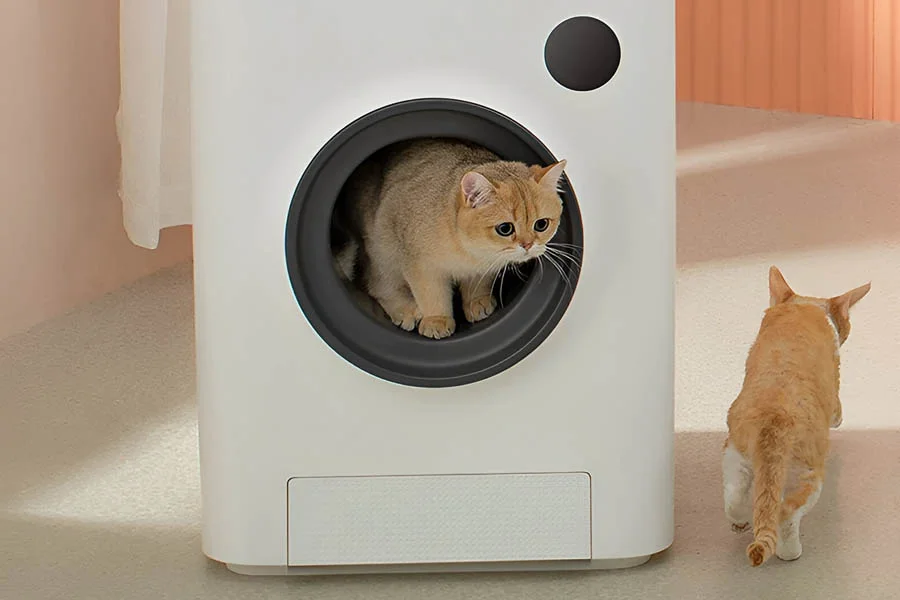best litter box for kittens