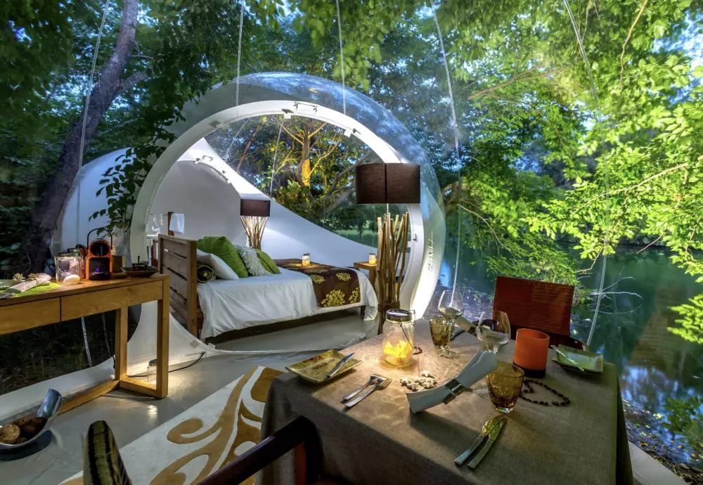 the bubble tent